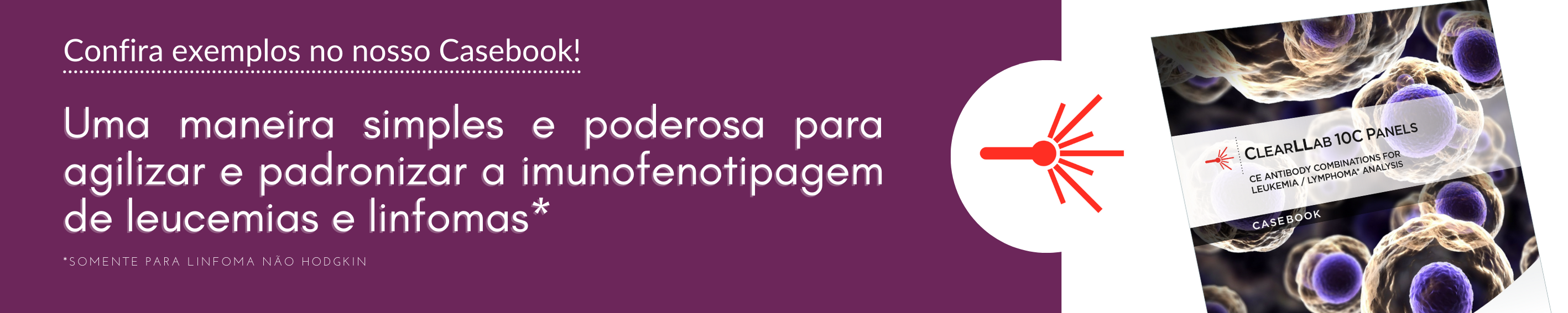 Confira o Casebook.png